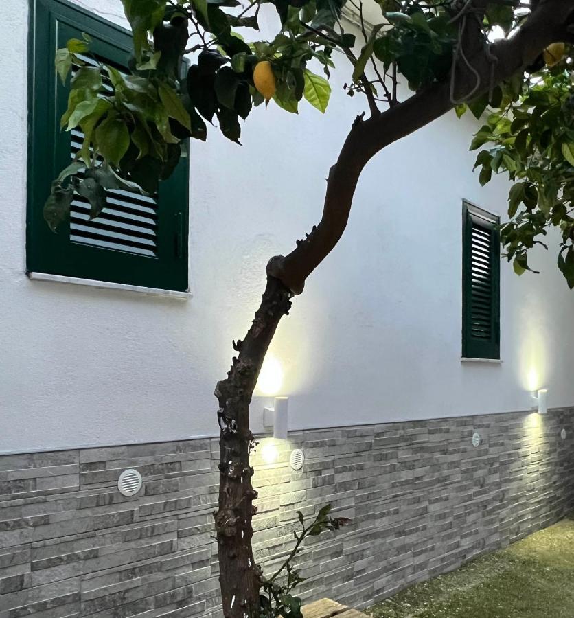 B&B Casa Vacanze Nonna Clara Naples Exterior photo